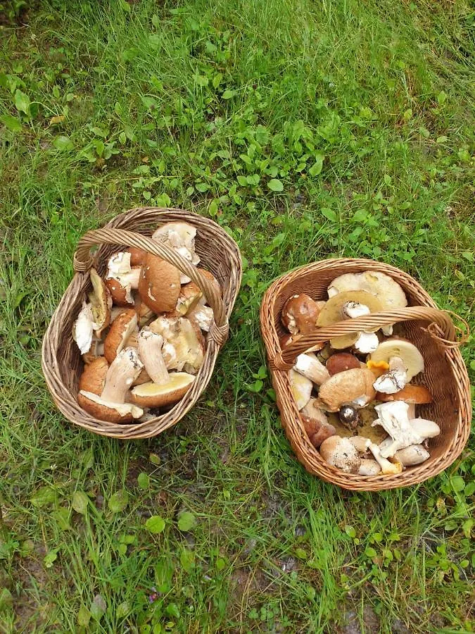 Gite De Groupe L'Estable Lavoute-Chilhac France